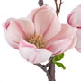 Ixia Rama de Magnolia Rosa Artificial