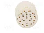 HARTING Conector M23 hembra con 17 pines y plantilla de contacto