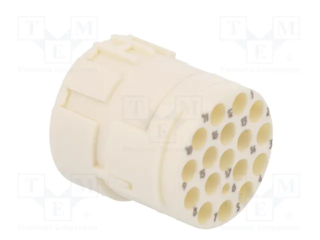 HARTING Conector M23 hembra con 17 pines y plantilla de contacto
