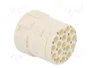 HARTING Conector M23 hembra con 17 pines y plantilla de contacto