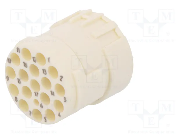 HARTING Conector M23 hembra con 17 pines y plantilla de contacto