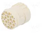 HARTING Conector M23 hembra con 17 pines y plantilla de contacto