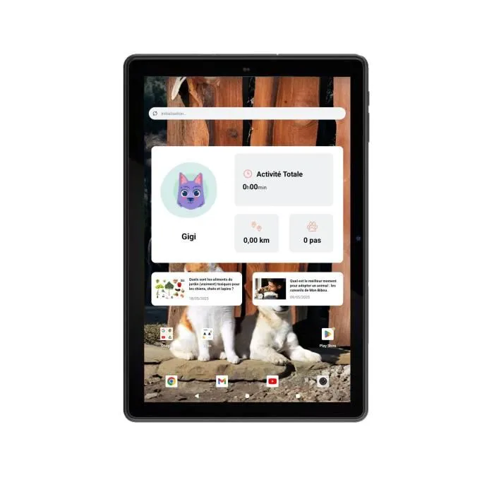 Archos Tablet T101 HD 4G 4+64 GB Cámara Wifi Rastreador de Actividad Bluetooth Pack YUKO