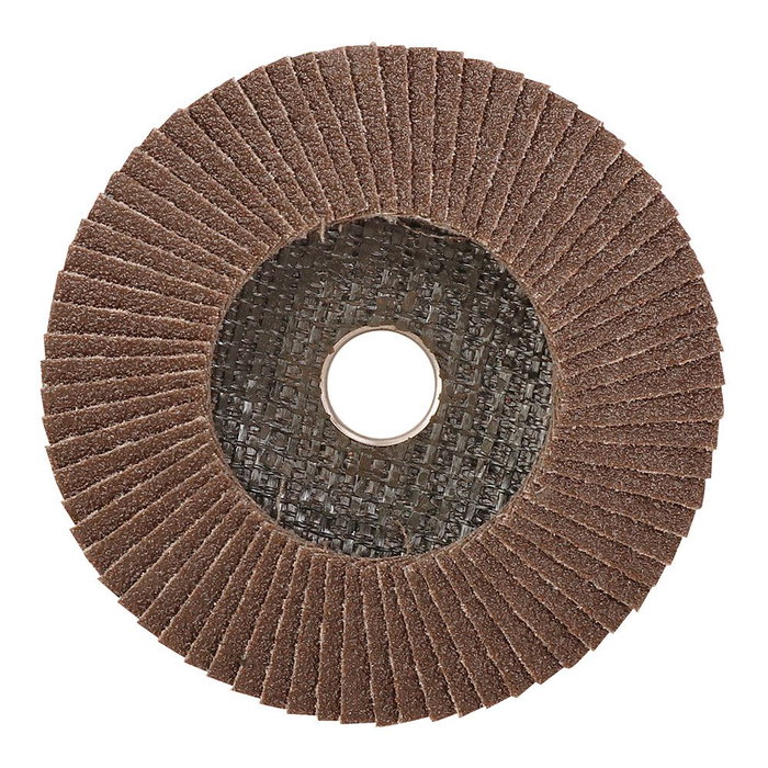 Workpro Disco de Láminas Plano T27, Ø100 x 16 mm, Óxido de Aluminio, Grano 60, para Acero Endurecido y Aleado