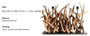 DKD Home Decor Lámpara de Sobremesa Raíz de Teca Reciclada 100x38x68 cm