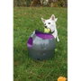 Petsafe Lanzador Automático de Pelotas