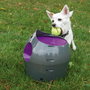 Petsafe Lanzador Automático de Pelotas