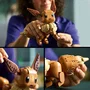 LEGO Pokémon Eevee 72151 Set de Construcción