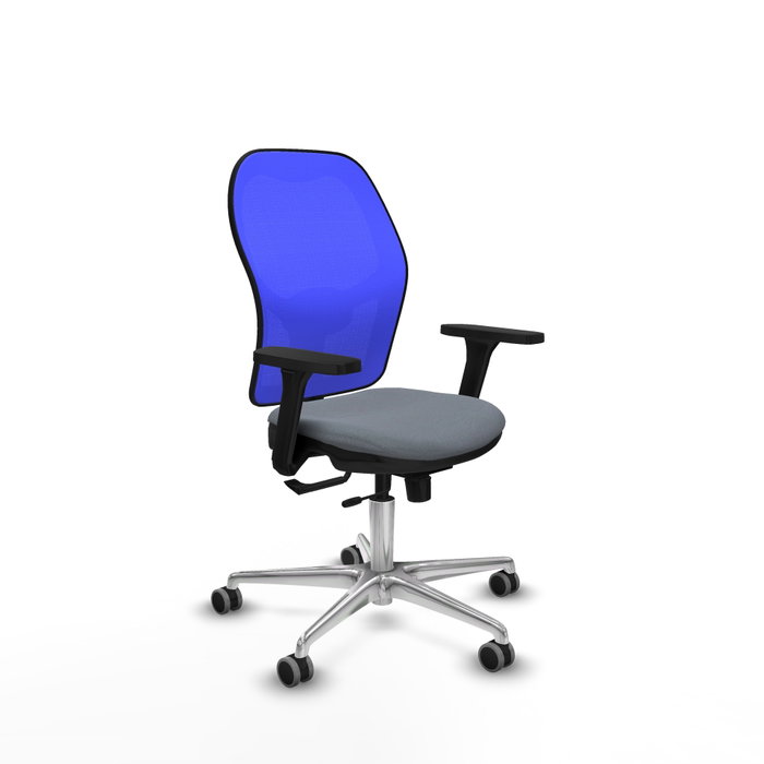 PIQUERAS Y CRESPO Silla de oficina Jorquera con mecanismo Sincro/Traslack, Gris y Azul PIQUERAS Y CRESPO Silla de oficina Jorquera con mecanismo Sincro/Traslack, Gris y Azul