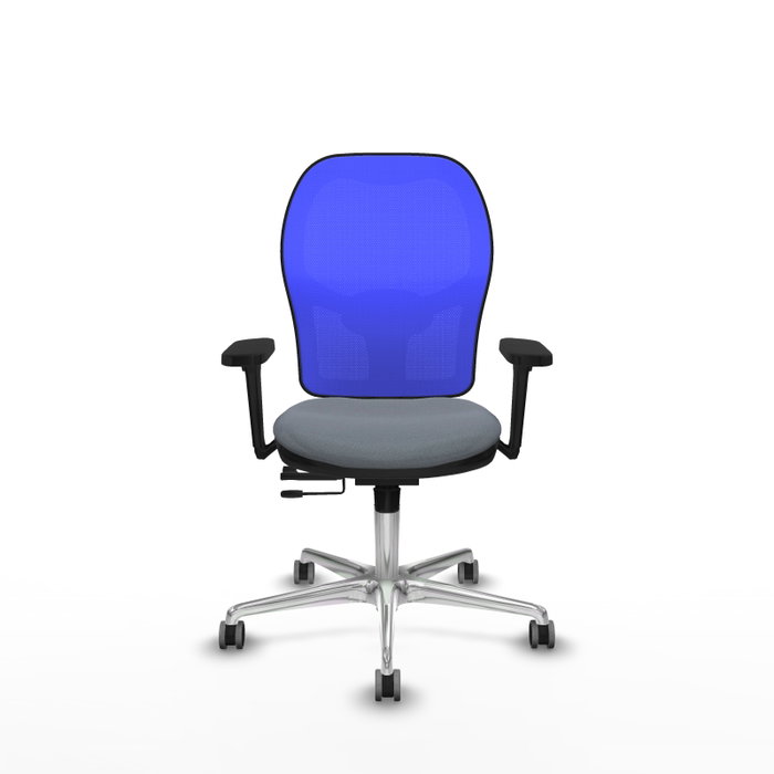 PIQUERAS Y CRESPO Silla de oficina Jorquera con mecanismo Sincro/Traslack, Gris y Azul PIQUERAS Y CRESPO Silla de oficina Jorquera con mecanismo Sincro/Traslack, Gris y Azul