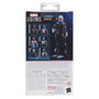 Hasbro Marvel Legends Felicia Hardy Black Cat Spider-Man 2