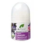 Dr. Organic Desodorante de Lavanda Roll-on 50 ml