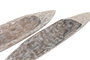 DKD Home Decor Centro de Mesa Mango Pez Desgastado Marrón (Pack de 2) inevitable
