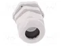 OBO BETTERMANN Sello aislante PG16 V-TEC PG