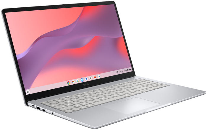 ASUS Chromebook CM1505CM4A-S70105 15.6full HD 4GB 64GB Gris