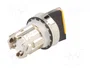 SIEMENS Interruptor rotativo 22mm Ámbar 2 posiciones
