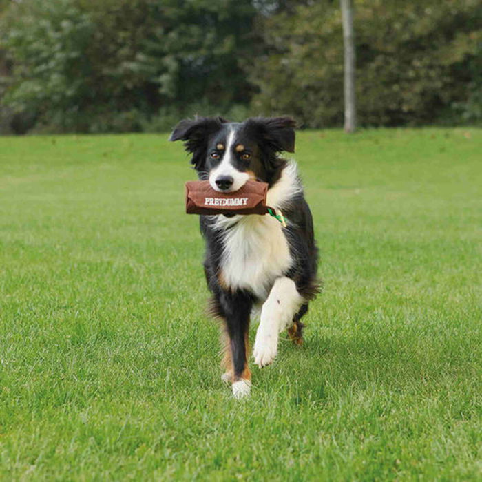 Juguete para perros Trixie