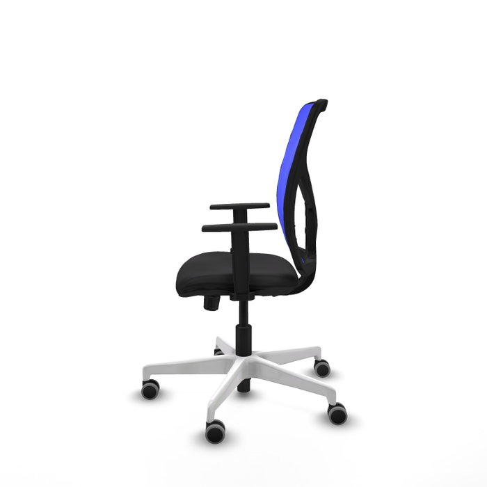 PIQUERAS Y CRESPO Silla de oficina Motilla con mecanismo Sincro/Traslack, Negro y Azul PIQUERAS Y CRESPO Silla de oficina Motilla con mecanismo Sincro/Traslack, Negro y Azul