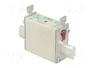 ETI POLAM Fusible de cartucho NH00C 80A 690V AC