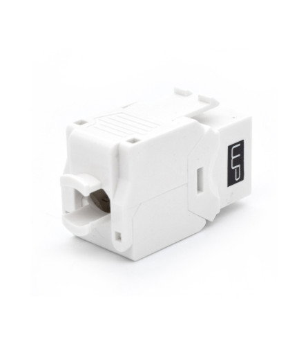 WP WPC-KEY-6AUP-TL/W Módulo de Conector de Red Keystone Cat6a Blanco