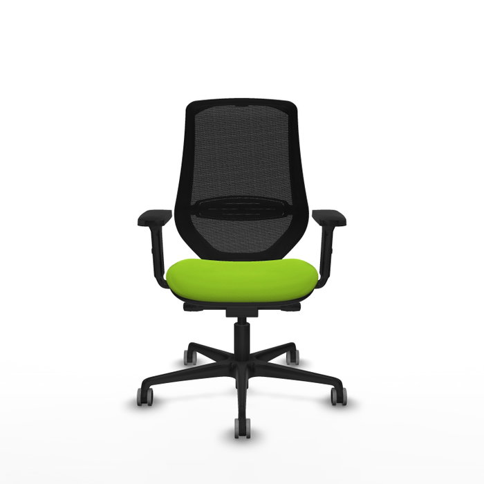 PIQUERAS Y CRESPO Silla de oficina Mardos con mecanismo Sincro/Traslack, Pistacho y Negro PIQUERAS Y CRESPO Silla de oficina Mardos con mecanismo Sincro/Traslack, Pistacho y Negro