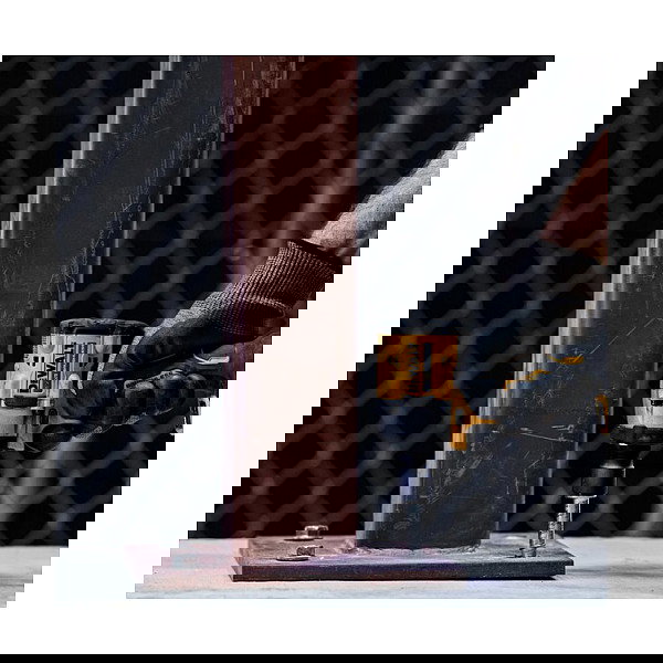 DeWALT DCF922NT-XJ - Akku-Schlagschrauber (Llave de impacto inalámbrica), 1/2", 18V, 406 Nm, sin escobillas, velocidad ajustable, luz LED