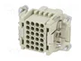 Harting HART Kontakteinsatz Buchse 09160243101 Crimpanschluss