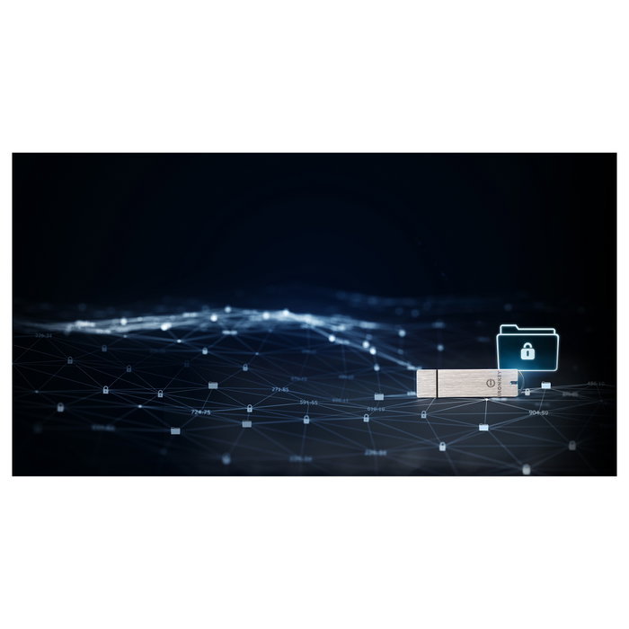 Kingston IronKey S1000 Basic 64GB USB 3.2 Gen 1