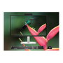 HP Elite Studio 8 AiO Intel Core Ultra 7 265 23,8" FHD 16GB 512GB SSD W11P 3J Gar (DE)