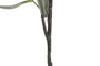 DKD Home Decor Rama de Poliéster Verde Olivo 35x35x80 cm