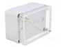 ELEKTRO-PLAST NASIELSK Carcasa Industrial Universal Gris IP65