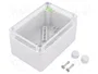 ELEKTRO-PLAST NASIELSK Carcasa Industrial Universal Gris IP65