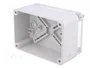 ELEKTRO-PLAST NASIELSK Carcasa Industrial Universal Gris IP65