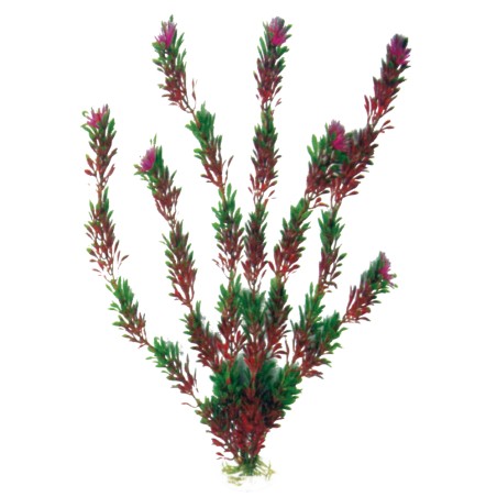 Nayeco Planta Plástico Flora 12 cm Nayeco Planta Plástico Flora 12 cm