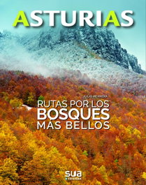 ASTURIAS. RUTA POR LOS BOSQUES MAS BELLOS. - SUA