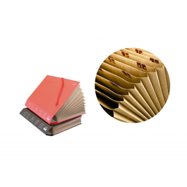 Mariola Carpeta Acordeón Fuelle Folio Cartón Forrado Geltex Plastificado Burdeos Mate 0918BU