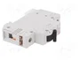 ETI POLAM Interruptor magnetotérmico ETIMAT 10 1P C6 6A 10kA