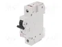 ETI POLAM Interruptor magnetotérmico ETIMAT 10 1P C6 6A 10kA
