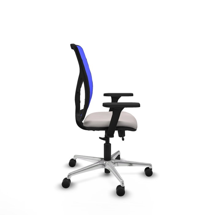 PIQUERAS Y CRESPO Silla de oficina Motilla con mecanismo Sincro/Traslack, Blanco y Azul PIQUERAS Y CRESPO Silla de oficina Motilla con mecanismo Sincro/Traslack, Blanco y Azul