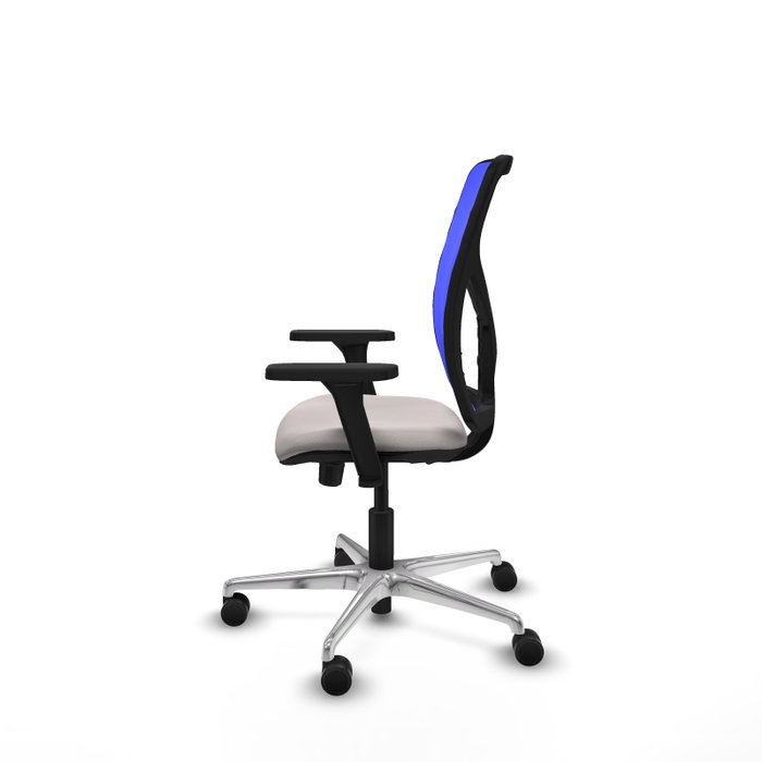 PIQUERAS Y CRESPO Silla de oficina Motilla con mecanismo Sincro/Traslack, Blanco y Azul PIQUERAS Y CRESPO Silla de oficina Motilla con mecanismo Sincro/Traslack, Blanco y Azul