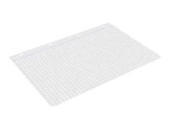 Liderpapel Recambio A4 100 hojas 60gr cuadro 8mm con margen 4 taladros