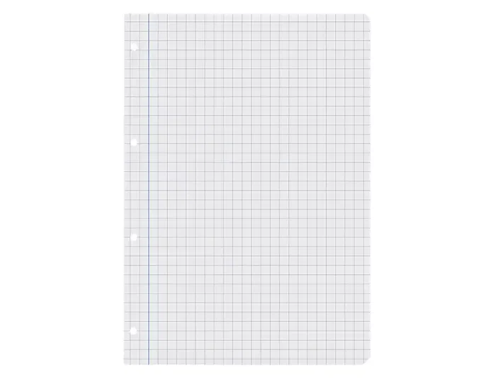 Liderpapel Recambio A4 100 hojas 60gr cuadro 8mm con margen 4 taladros