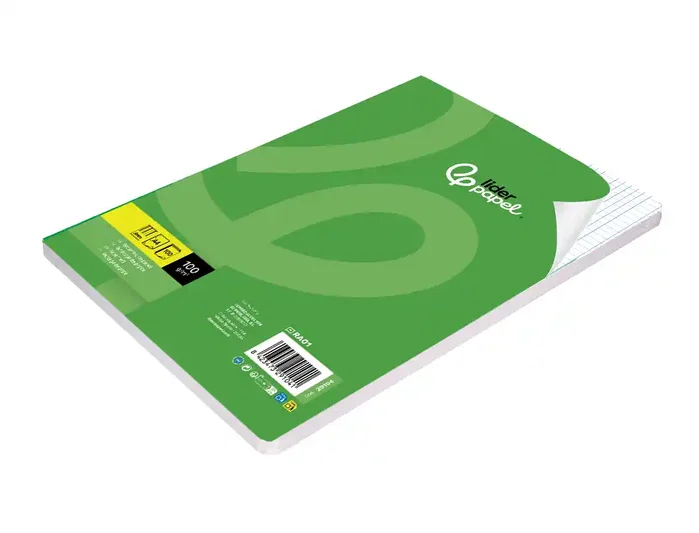 Liderpapel Recambio A4 100 hojas 60gr cuadro 8mm con margen 4 taladros