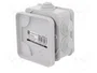 ELEKTRO-PLAST NASIELSK Caja de conexiones gris IP55