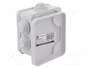 ELEKTRO-PLAST NASIELSK Caja de conexiones gris IP55