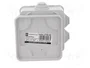 ELEKTRO-PLAST NASIELSK Caja de conexiones gris IP55