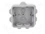 ELEKTRO-PLAST NASIELSK Caja de conexiones gris IP55