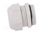Lapp SKINTOP 53111450 Prensaestopas de Poliamida, Gris, M40x1.5, 10 unidades