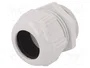 Lapp SKINTOP 53111450 Prensaestopas de Poliamida, Gris, M40x1.5, 10 unidades