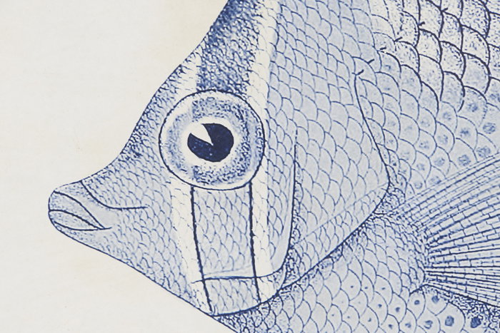 DKD Home Decor Cuadro Mediterraneo Azul Beige Cristal MDF 50 x 40 x 2.5 cm (6 Unidades)